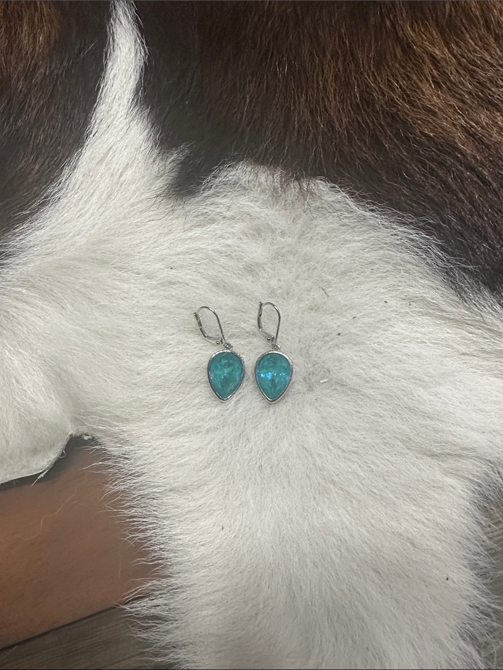 Touchstone Crystal Teardrop Earrings in Turquoise and Silver